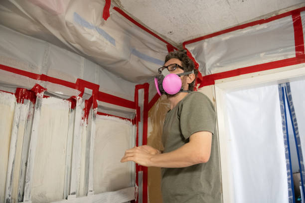 Professional Mold Removal in Willard, UT
