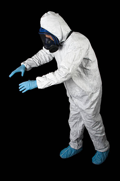 Best Attic Mold Removal  in Willard, UT